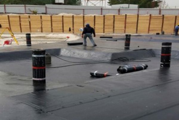 Fisheries, Al-Rabiya